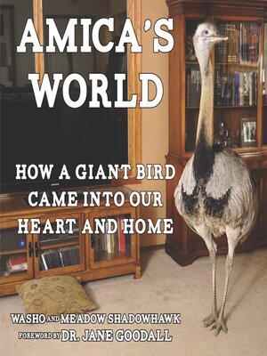 cover image of Amica's World